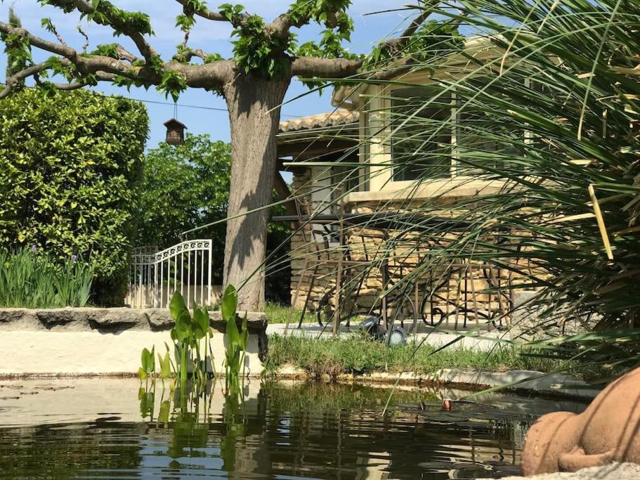 Villa Mas Des Anges à Entrechaux Extérieur photo